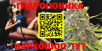 дмт Пушкино