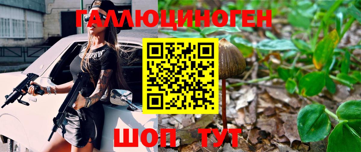 Псилоцибиновые грибы Cubensis Пушкино