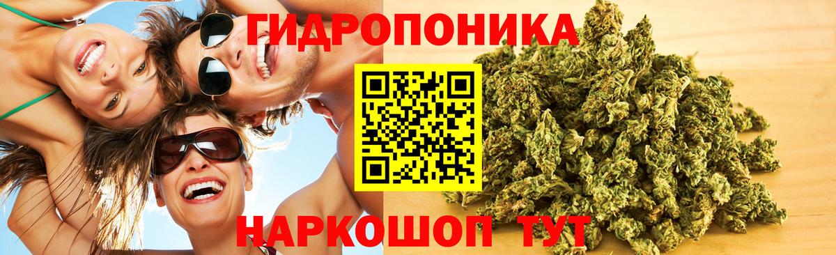 Марихуана сатива Пушкино